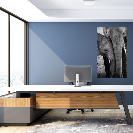 Canvas Print Black and White Elephant Couple Nature 80x120 cm