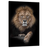 Canvas Print Gray Lion Face Wildness 80x120 cm