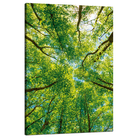 Canvas Print Trees Leaves Nature Forest Spring 80x120 cm