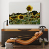 Canvas Print Botany Sunflower Field 40x30 cm