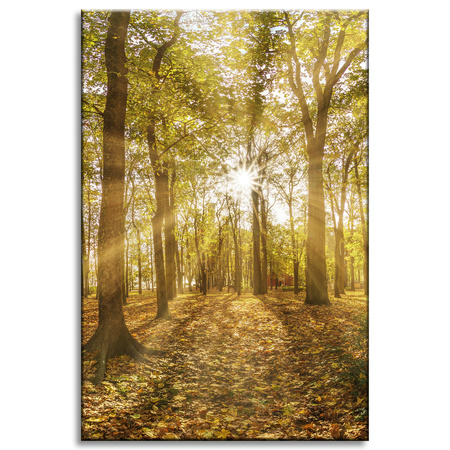 Canvas Print Sun Between Trees in the Forest 60x90 cm