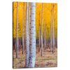 Canvas Print Birch Trees Autumn Yellow Leaves 40x60 cm