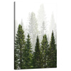 Canvas Print Rain Forest Nature Trees 50x80 cm
