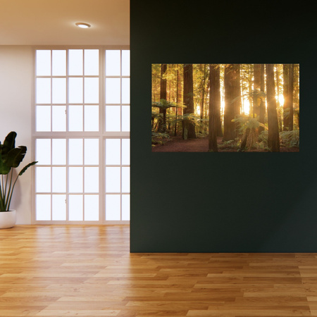 Canvas Print Sun Rays Forest Trees 120x40 cm