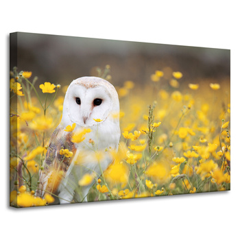 Canvas Print White Owl Flowers Nature Meadow 90x60