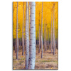 Canvas Print Birch Trees Autumn Yellow Leaves 80x120 cm