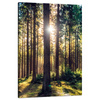 Canvas Print Forest Sun Trees Spring Morning 80x120 cm