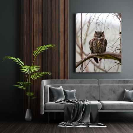 Canvas Print Animals Sleeping Owl 40x120 cm