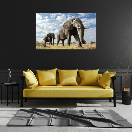 Canvas Print Large Gray Elephants Africa Nature 100x80 cm