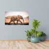 Canvas Print Muddy Running Elephant Nature 100x80 cm