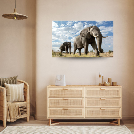 Canvas Print Large Gray Elephants Africa Nature 100x80 cm