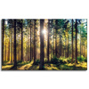 Canvas Print Forest Sun Trees Spring Morning 100x60 cm