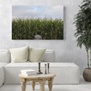 Canvas Print Nature Corn Field 100x80 cm