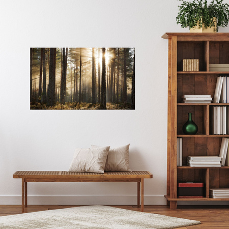 Canvas Print Sun in the Forest Cold Colors Grass 120x80 cm