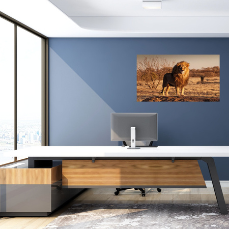 Canvas Print Lion in the Middle of the Savannah Sunset 100x80 cm