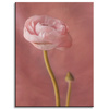 Canvas Print Botanical Pink Peony 30x40 cm