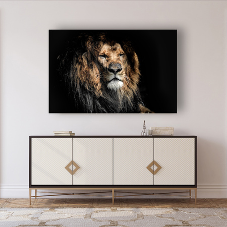 Canvas Print Adult Lion Animal 90x60