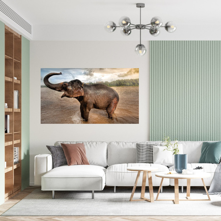 Canvas Print Elephant Water Clouds Nature Bath 100x80 cm