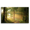 Canvas Print Sunlight Forest Path Nature 120x80 cm