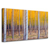 Canvas Print Birch Trees Autumn Yellow Leaves 100x60 cm