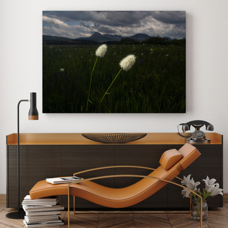 Canvas Print Nature Wildflowers 100x80 cm