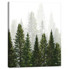 Canvas Print Rain Forest Nature Trees 40x50 cm