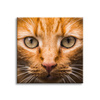 Canvas Print Cat Face Close Up 90x90
