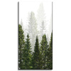Canvas Print Rain Forest Nature Trees 40x80 cm