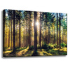 Canvas Print Forest Sun Trees Spring Morning 60x40 cm
