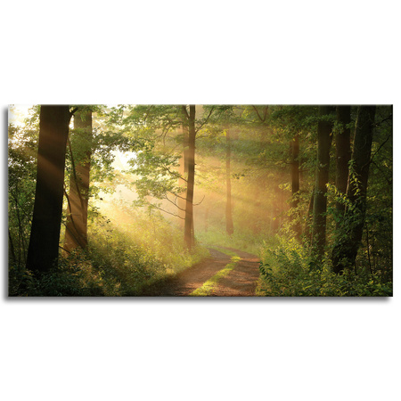 Canvas Print Sunlight Forest Path Nature 120x60 cm