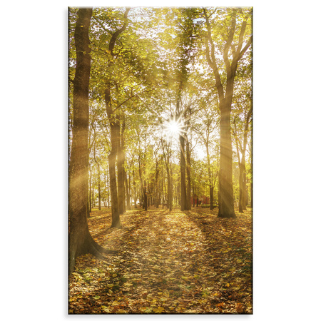 Canvas Print Sun Between Trees in the Forest 60x100 cm