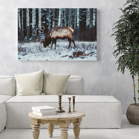 Canvas Print Animals Canadian Deer 40x30 cm
