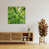 Canvas Print Trees Leaves Nature Forest Spring 60X60 cm