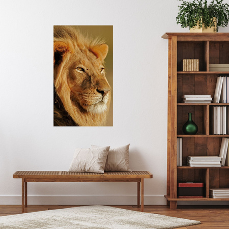 Canvas Print Lion in the Sunlight Face Nature 80x120 cm