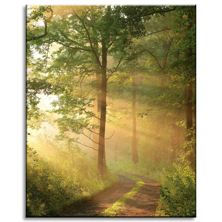 Canvas Print Sunlight Forest Path Nature 40x50 cm