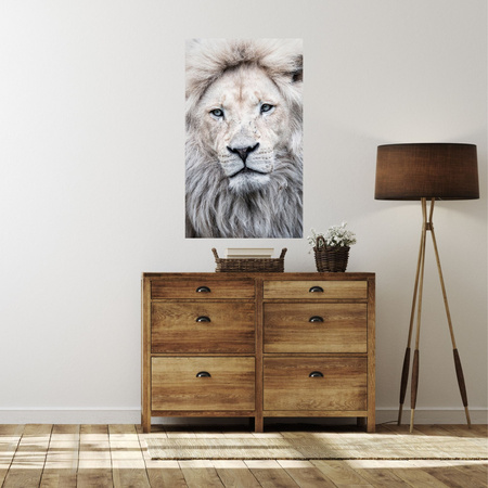 Canvas Print Bright Lion Face White Hair 80x120 cm