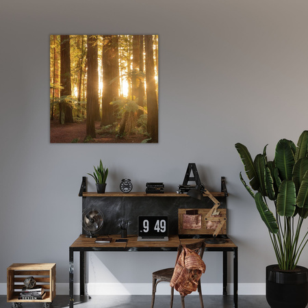 Canvas Print Sun Rays Forest Trees 60X60 cm