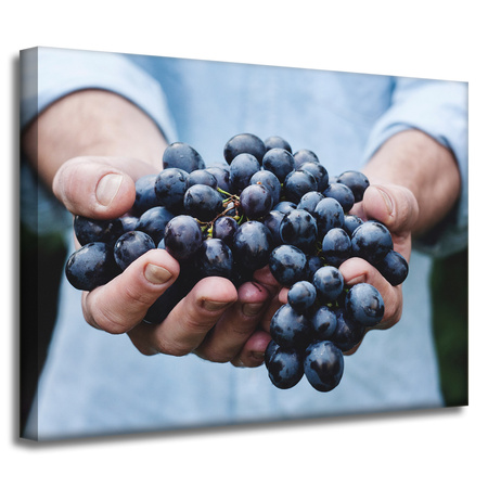 Canvas Print Kitchen Bunch of Grapes 40x30 cm