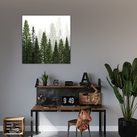 Canvas Print Rain Forest Nature Trees 60X60 cm