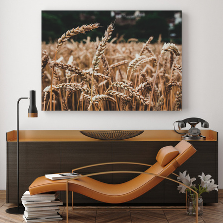 Canvas Print Nature Wheat Field 40x30 cm