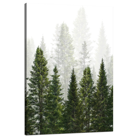 Canvas Print Rain Forest Nature Trees 80x120 cm