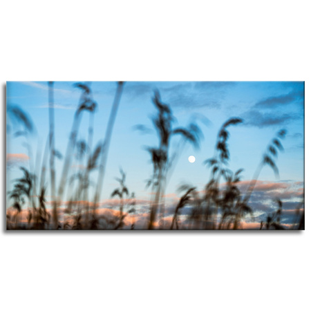 Canvas Print Nature Glade Meadow Sunrise 120x60