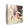 Canvas Print Nature Insect Butterfly Flowers Spring Summer 90x90