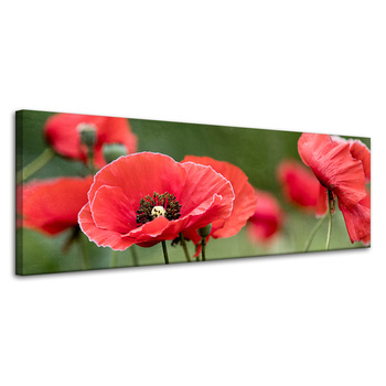 Canvas Print Botanical Red Poppies 120x40 cm Flowers Flora