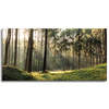 Canvas Print Forest Trees Sun Nature 120x60 cm