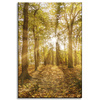 Canvas Print Sun Between Trees in the Forest 40x60 cm