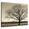 Canvas Print Gloomy Black Tree Sadness 100x80 cm