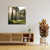 Canvas Print Forest Trees Sun Nature 50X50 cm