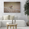 Canvas Print Animals Sparrow 40x30 cm