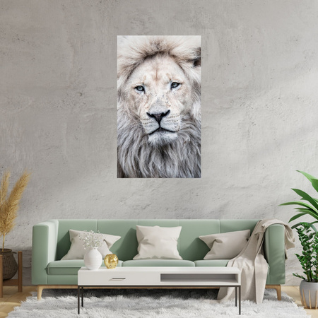 Canvas Print Bright Lion Face White Hair 80x120 cm